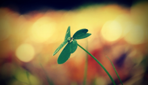 温度传感器PT100图纸符号,温度传感器pt 100